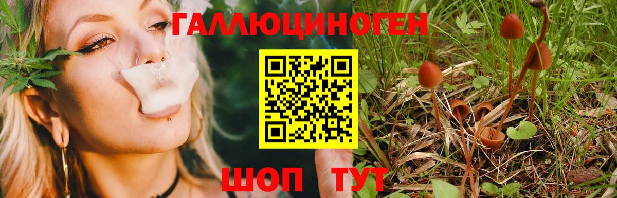 Галлюциногенные грибы Cubensis Златоуст